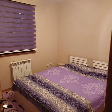 Ristic Apartment Zlatibor